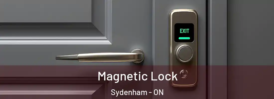  Magnetic Lock Sydenham - ON