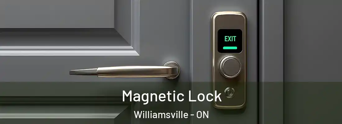  Magnetic Lock Williamsville - ON