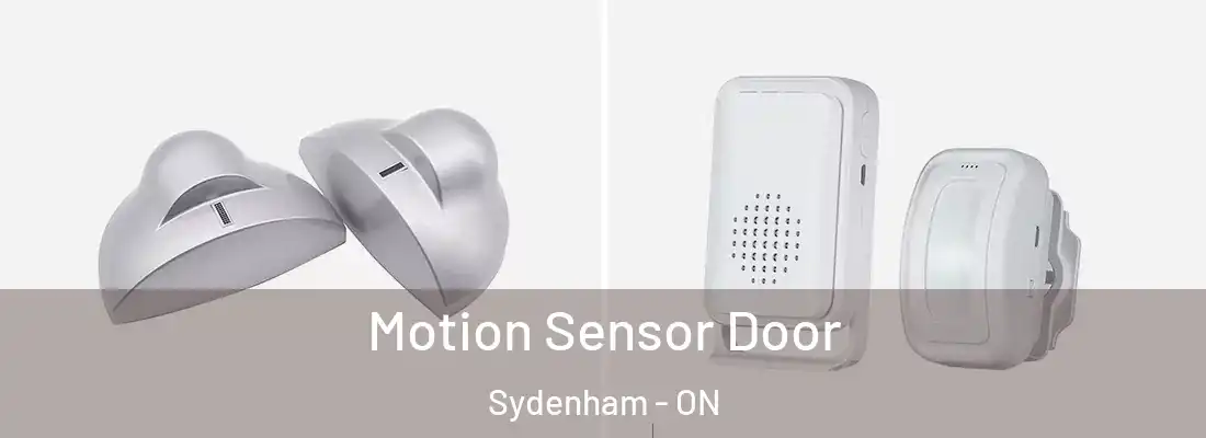  Motion Sensor Door Sydenham - ON