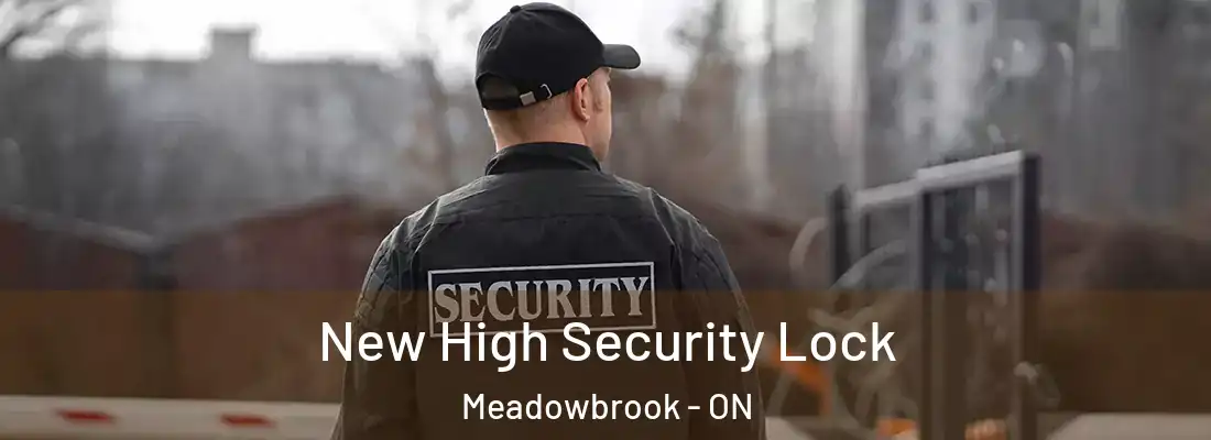  New High Security Lock Meadowbrook - ON