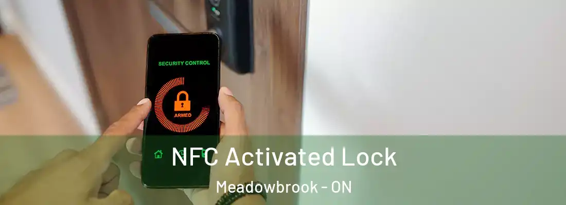  NFC Activated Lock Meadowbrook - ON
