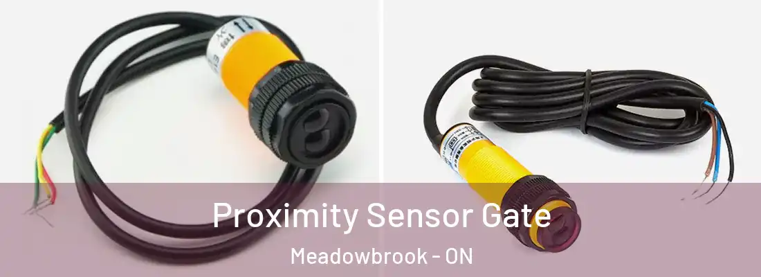  Proximity Sensor Gate Meadowbrook - ON