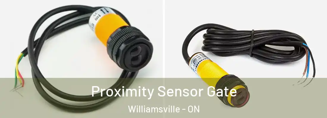  Proximity Sensor Gate Williamsville - ON