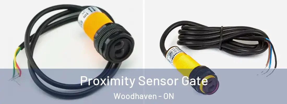  Proximity Sensor Gate Woodhaven - ON
