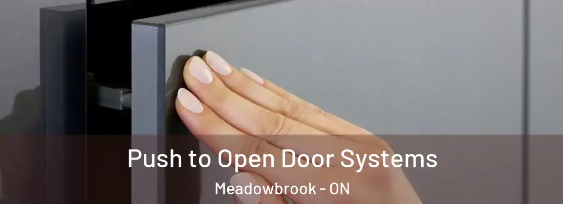  Push to Open Door Systems Meadowbrook - ON