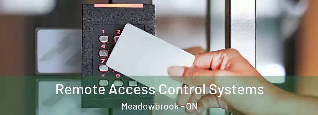  Remote Access Control Systems Meadowbrook - ON