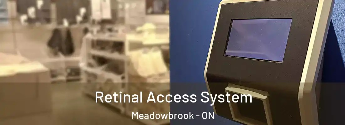  Retinal Access System Meadowbrook - ON