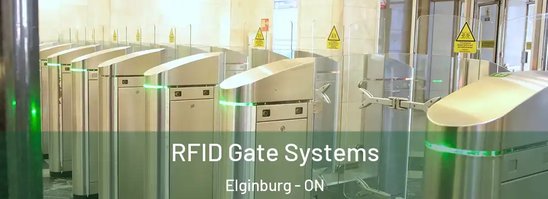  RFID Gate Systems Elginburg - ON