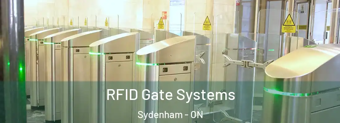  RFID Gate Systems Sydenham - ON