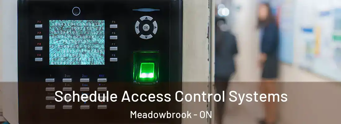  Schedule Access Control Systems Meadowbrook - ON