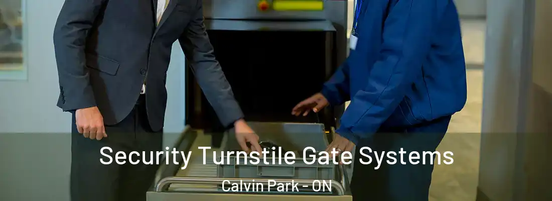  Security Turnstile Gate Systems Calvin Park - ON