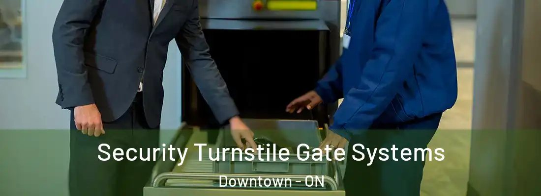  Security Turnstile Gate Systems Downtown - ON