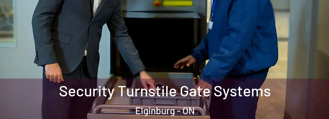  Security Turnstile Gate Systems Elginburg - ON