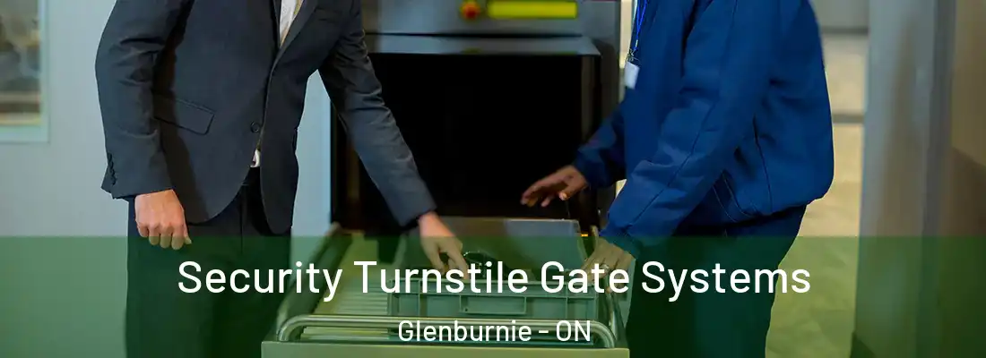  Security Turnstile Gate Systems Glenburnie - ON