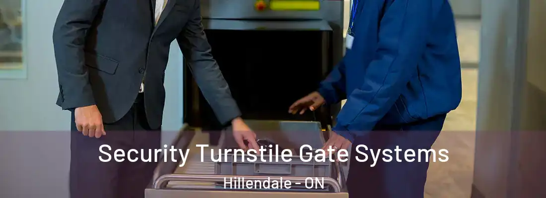  Security Turnstile Gate Systems Hillendale - ON