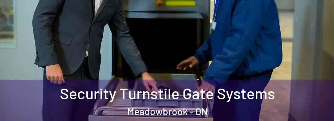  Security Turnstile Gate Systems Meadowbrook - ON