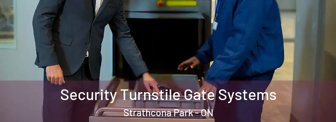  Security Turnstile Gate Systems Strathcona Park - ON