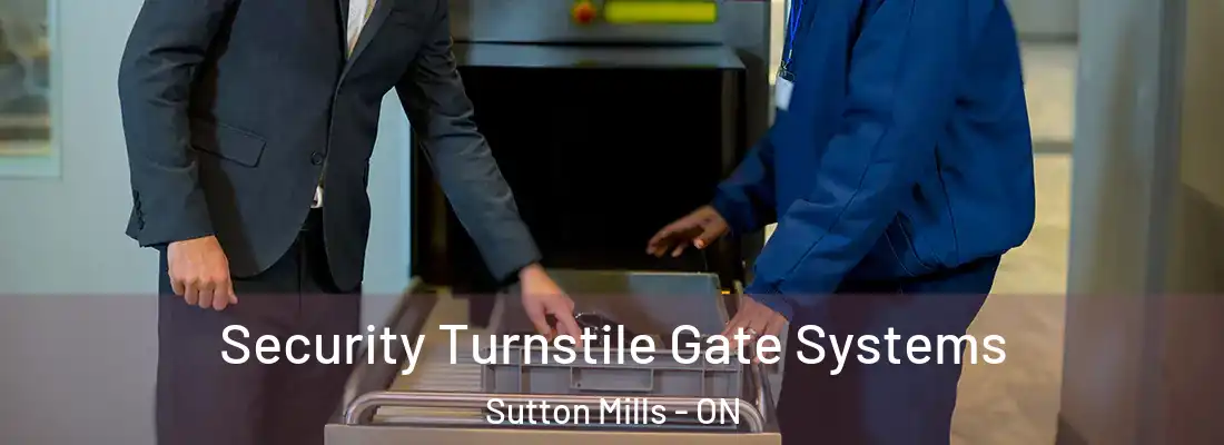  Security Turnstile Gate Systems Sutton Mills - ON