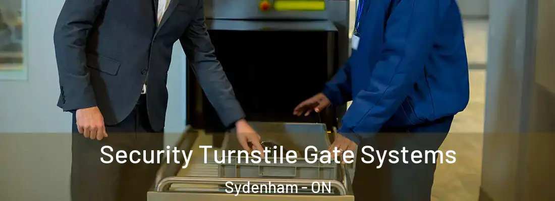  Security Turnstile Gate Systems Sydenham - ON
