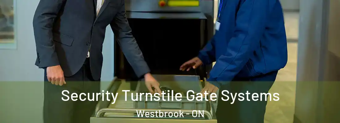  Security Turnstile Gate Systems Westbrook - ON