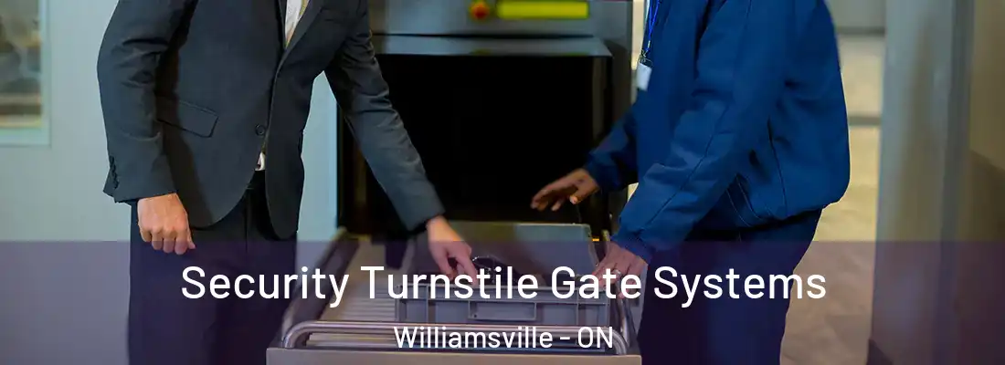  Security Turnstile Gate Systems Williamsville - ON