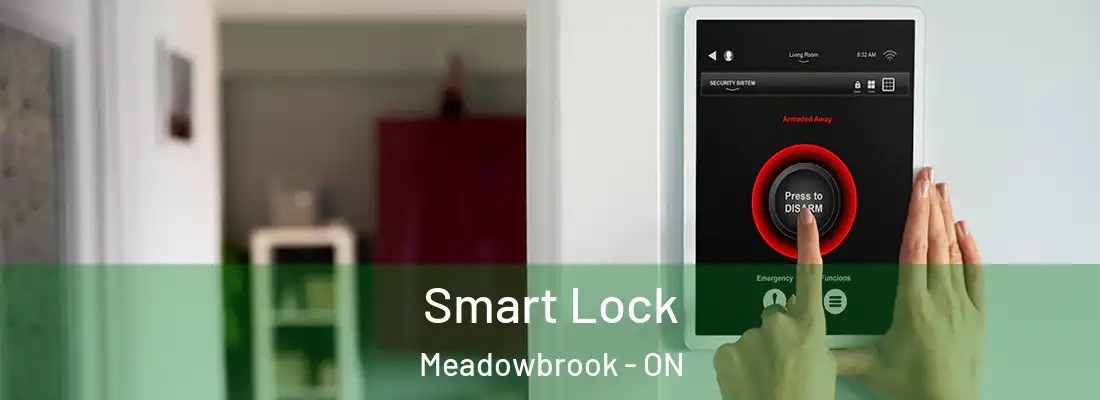  Smart Lock Meadowbrook - ON