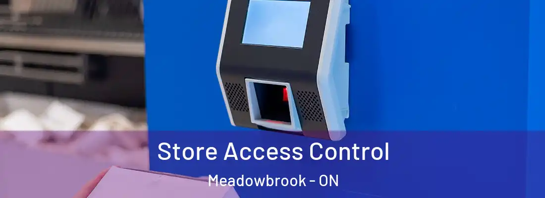  Store Access Control Meadowbrook - ON