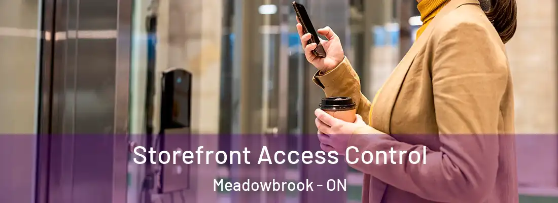  Storefront Access Control Meadowbrook - ON