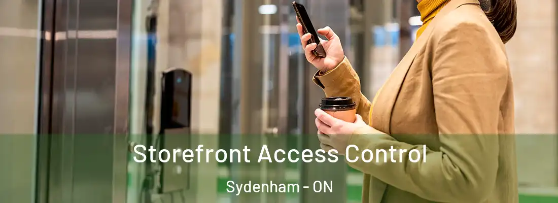 Storefront Access Control Sydenham - ON