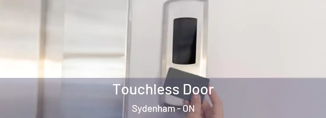  Touchless Door Sydenham - ON