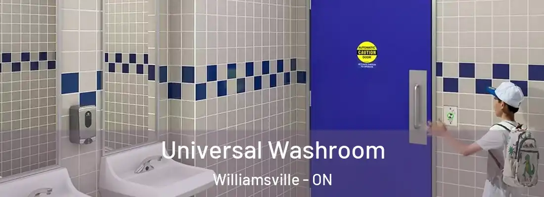  Universal Washroom Williamsville - ON