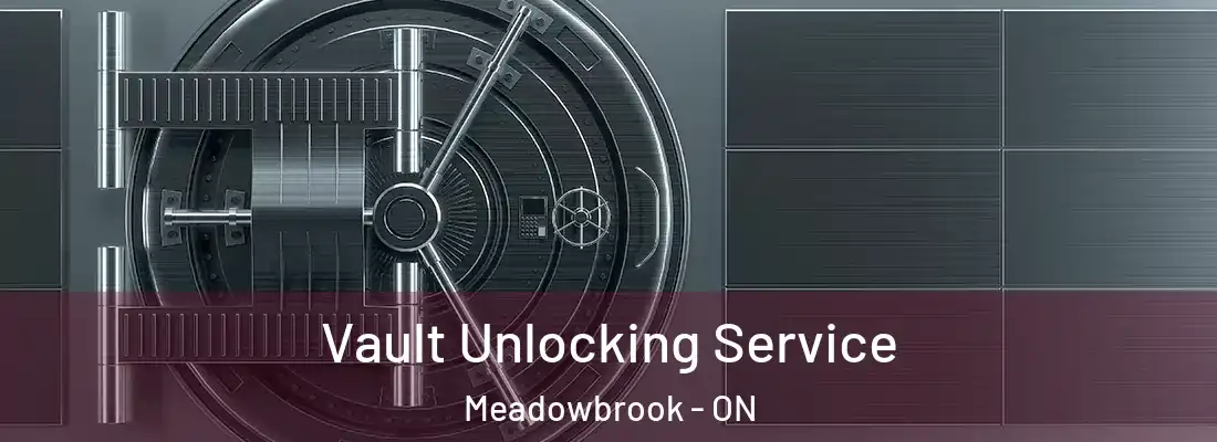  Vault Unlocking Service Meadowbrook - ON