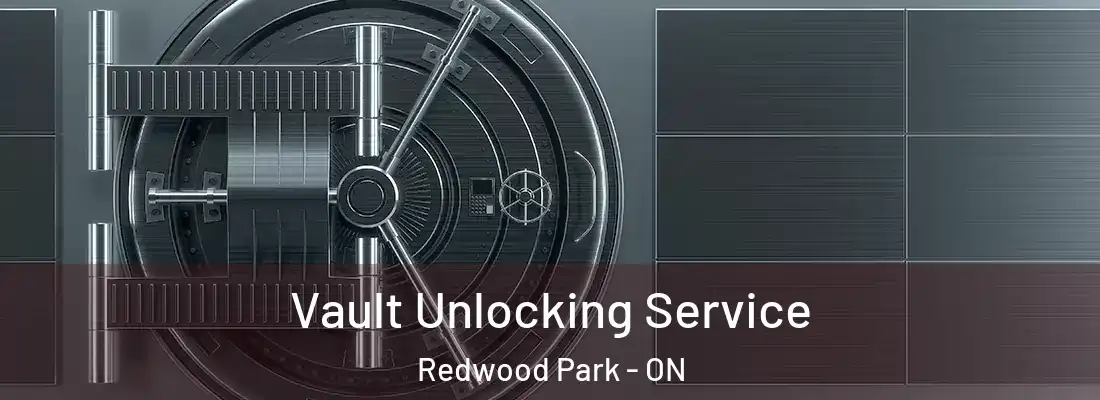  Vault Unlocking Service Redwood Park - ON